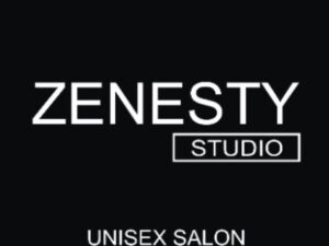 ZENESTY  STUDIO